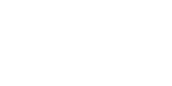 Google Partner